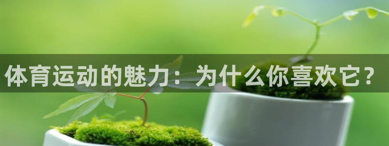 vsport体育在线官网