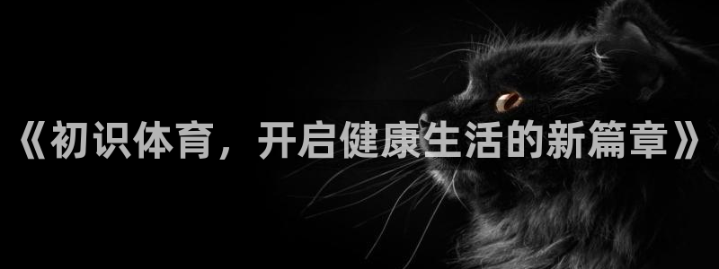 vsport体育在线官网