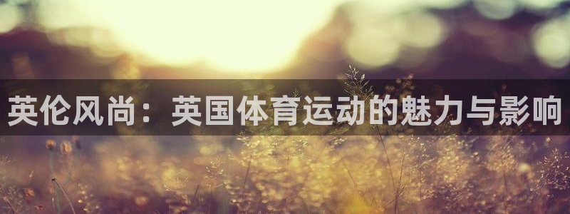 vsport体育在线官网