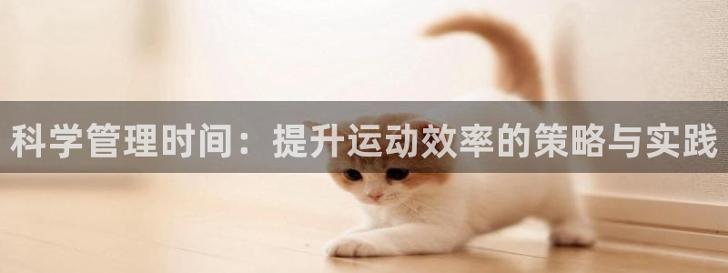 vsport体育