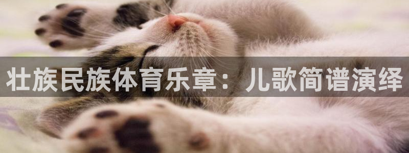 vsport体育在线官网