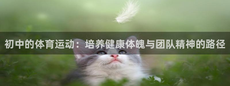 vsport体育在线官网