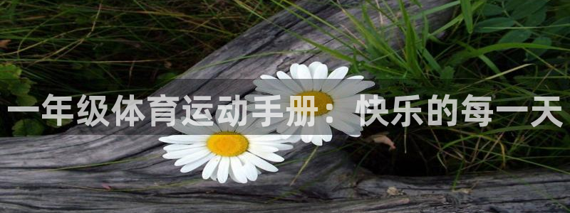 vsport体育