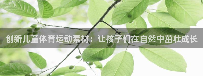 vsport体育在线官网
