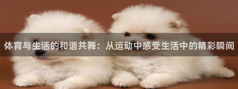 vsport体育在线官网