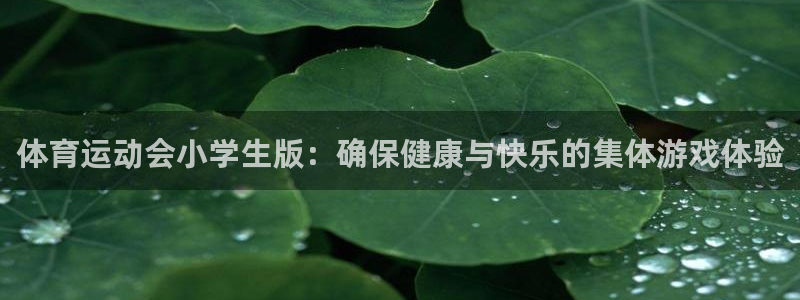 vsport体育在线官网